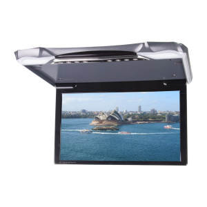 Stropný LCD monitor 11,6" / HDMI / RCA / USB / IR / FM